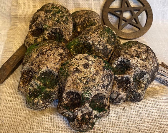 OOAK Skull Rattle, Hand Crafted, Altar Tool, Spiritual tool, Voodoo, Pagan, Wiccan, Spirit Shaker