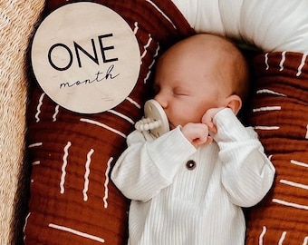 Baby Monthly Milestone Cards | Milestone Signs | New Baby Sign | Custom Wood Sign | Birth Stats Sign | Baby Photo Prop | Milestone Markers