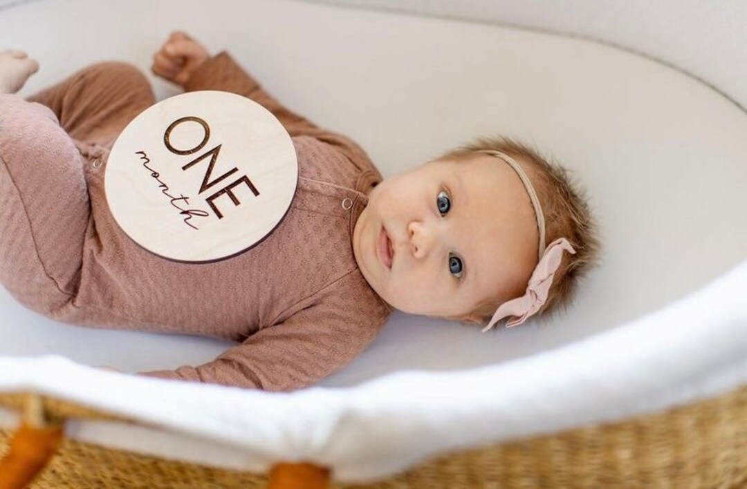 Baby Monthly Milestone Cards | Milestone Signs | New Baby Sign | Custom ...