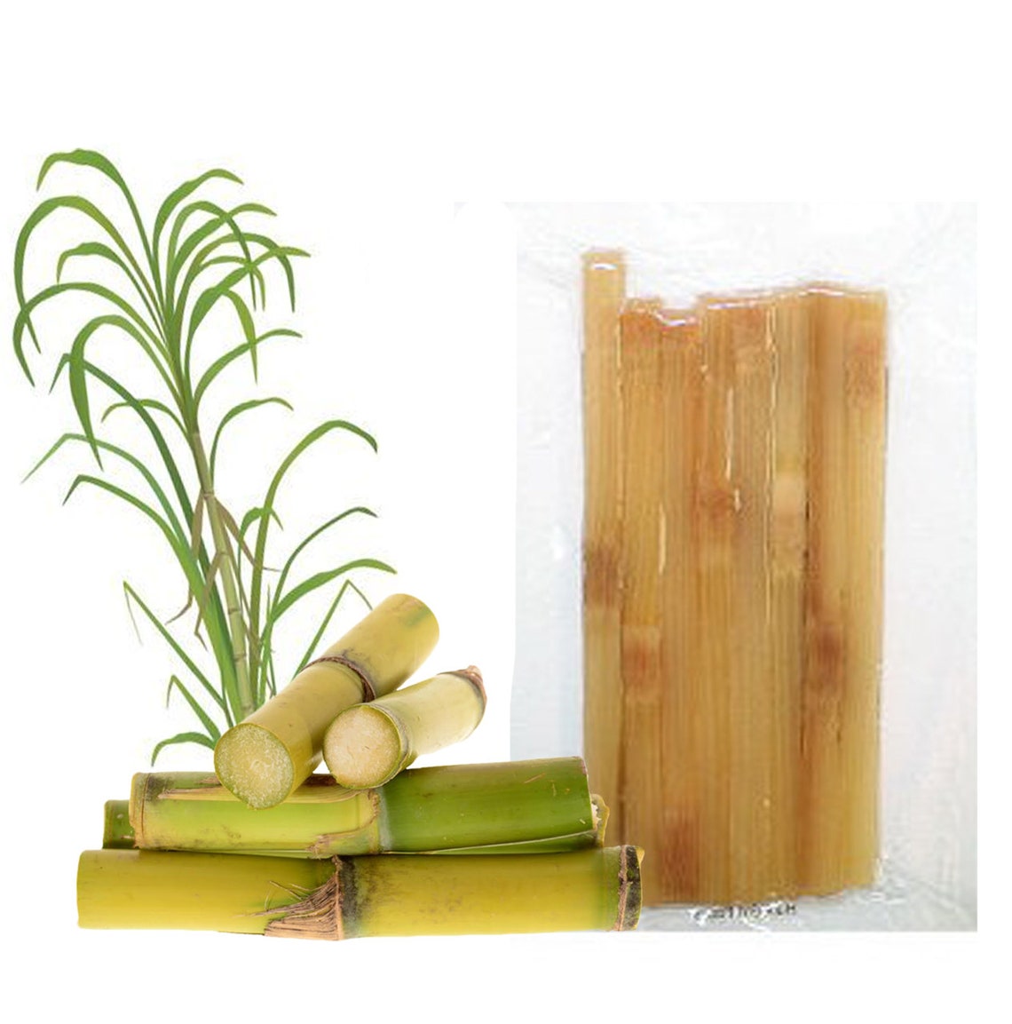 Sugar Cane Sticks Healthy & Unique Treat Sugar Glider Etsy