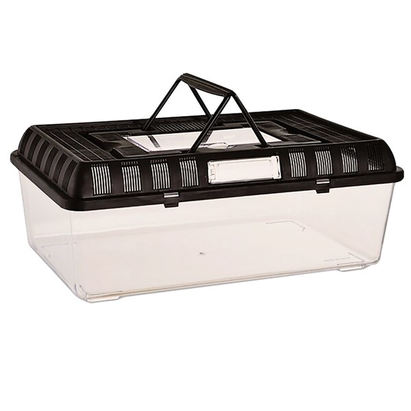 Plastic Terrarium Containers Etsy