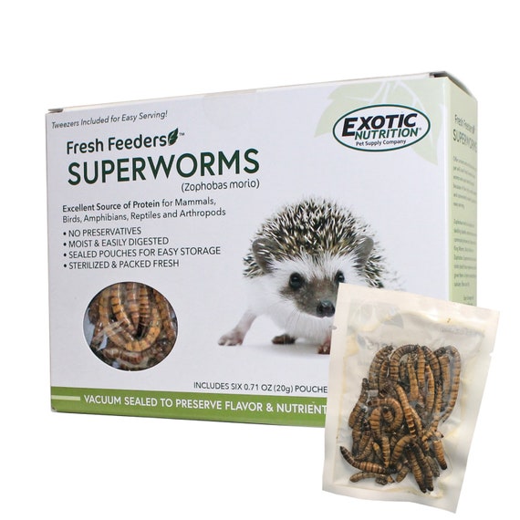 Fresh Feeders Moist Insects Easy To Feed Mess Free Etsy