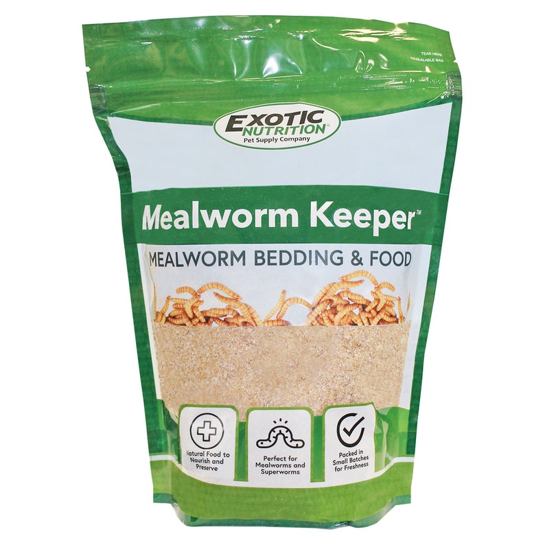 Mealworm Breeder Kit Raise Live Feeder Mealworms Etsy