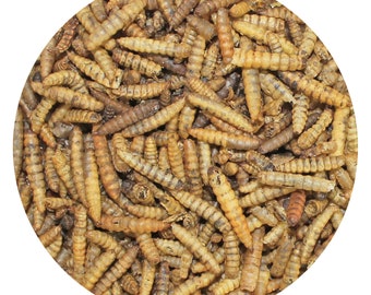 30 lb de larves de mouche soldat séchées en vrac - Vers riches en calcium - Gâterie saine pour insectes - Hérisson, insectivores et autres animaux de compagnie