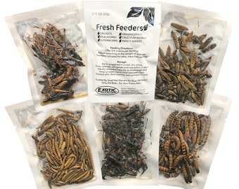 Fresh Feeders - Moist Insects, Easy to Feed, Mess-Free, Individually Packed Mealworms, Superworms, Crickets, Grasshoppers