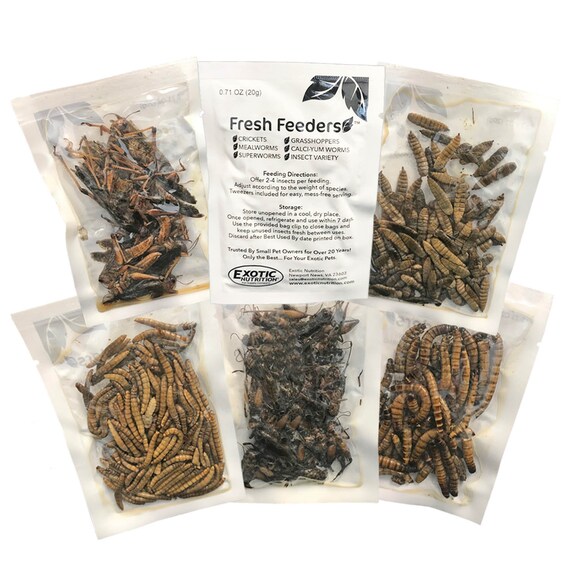 Fresh Feeders Moist Insects Easy To Feed Mess Free Etsy