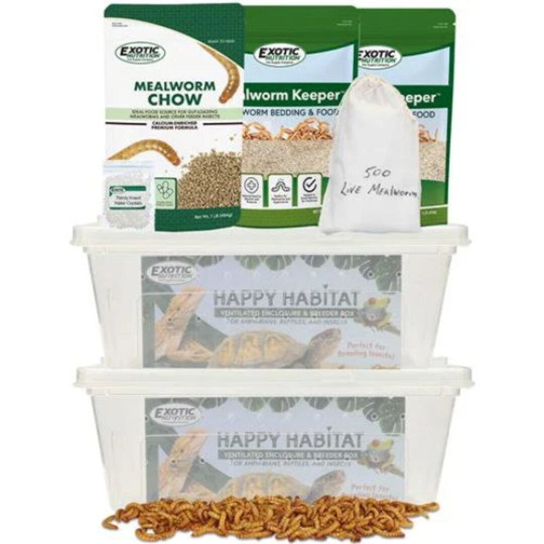 Mealworm Breeder Kit Raise Live Feeder Mealworms Everything You Need Feed Chickens, Reptiles