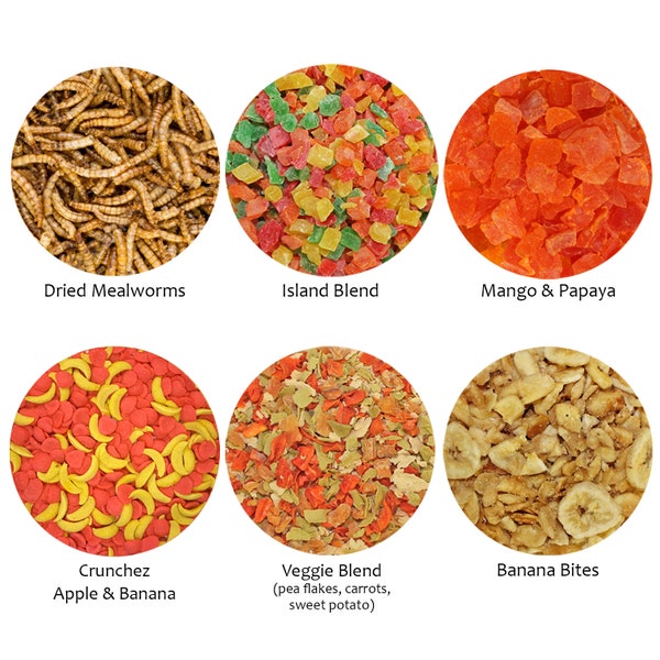 Treat Assortment 6 Pack - Mix of Dried Fruits, Yogurt, Dried Insects - Sugar Gliders, Hedgehogs, Squirrels, Skunks, Rats, Hamsters & Gerbils