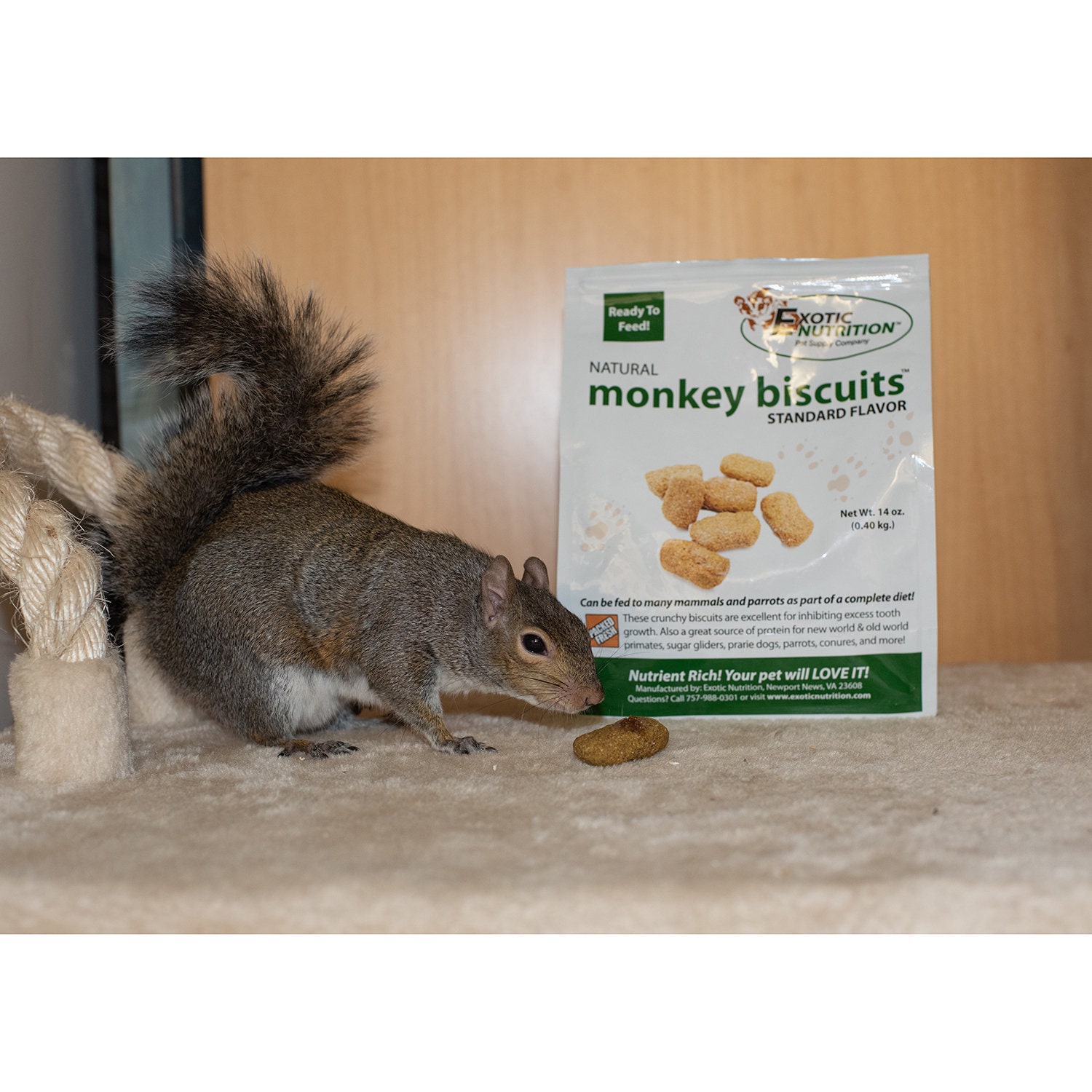 Monkey Biscuits standard Healthy & Unique Treat Sugar Etsy
