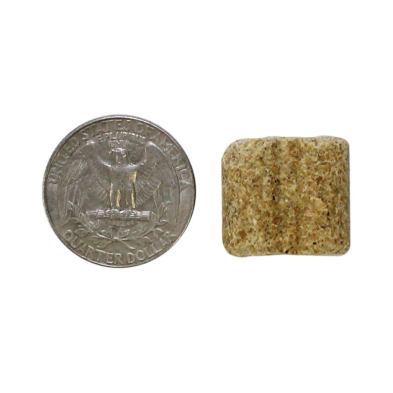 Rodent Blocks Nutritional Food Rats Mice Squirrels Etsy