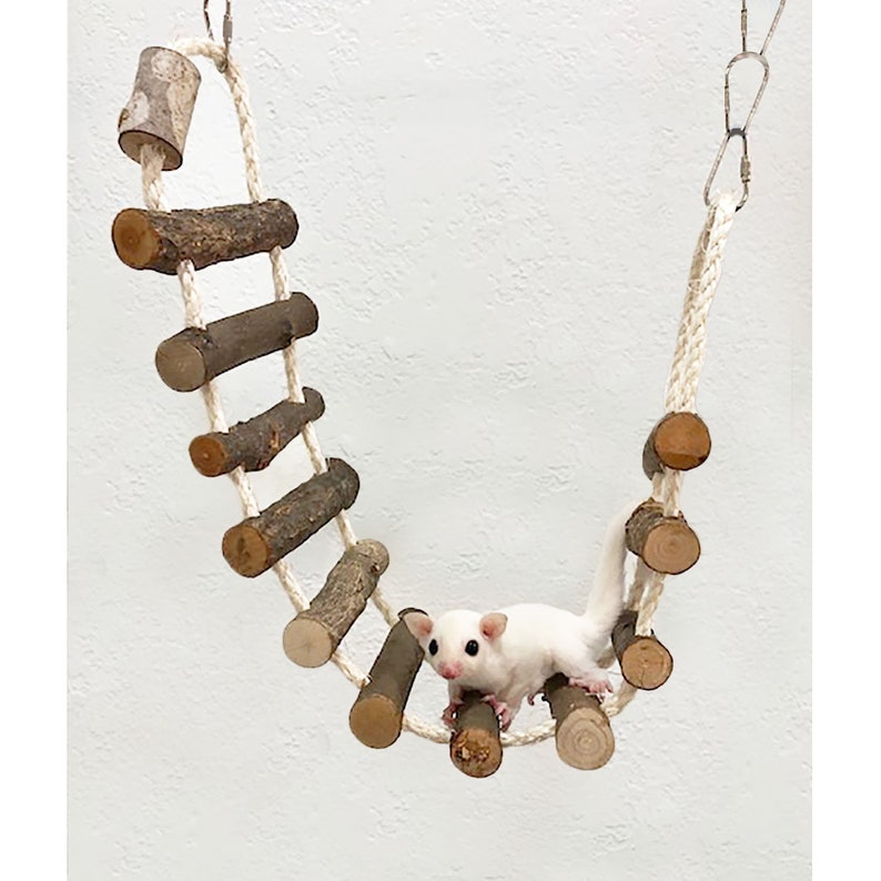 Sisal Rope Ladder Fun & Unique Toy Sugar Glider Rat Etsy