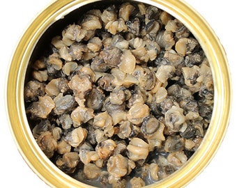 Canned Snails  - Healthy High Protein Treat for Hedgehogs, Sugar Gliders, Reptiles, Chickens, Lizards, & other Insectivores