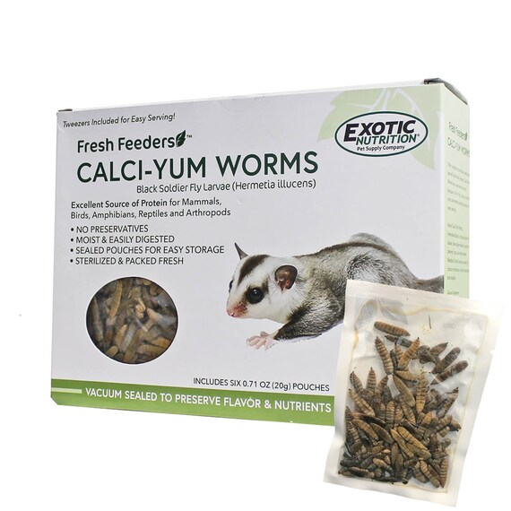 Fresh Feeders Moist Insects Easy To Feed Mess Free Etsy