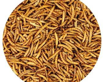 Dried Mealworms - BULK - Treat for Reptile, Fish, Wild Bird, Hedgehog, Sugar Glider, Chicken, Skunk, Opossum, Rat, Bearded Dragon, Turtle