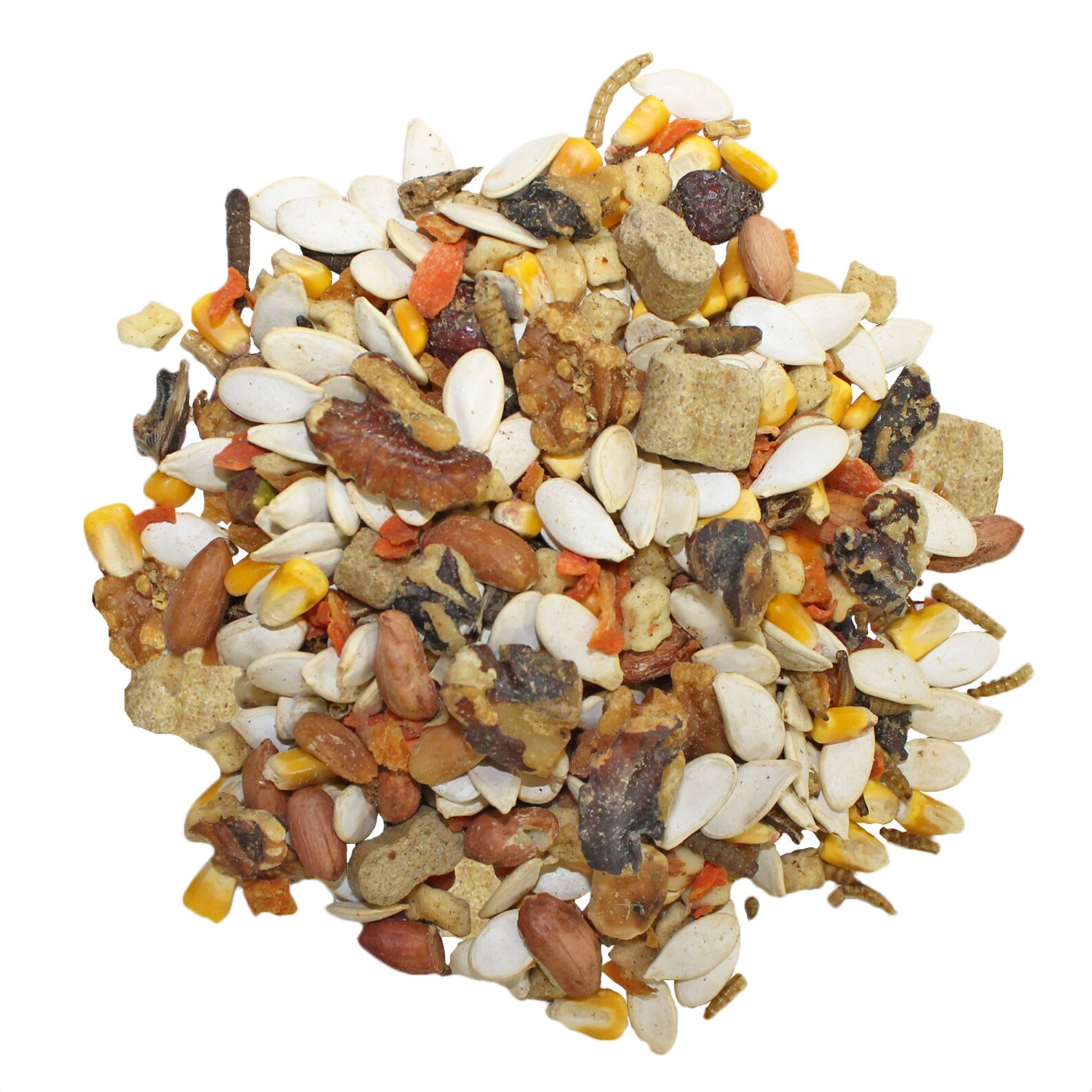 ardilla-completa-comida-saludable-y-natural-ardillas-de-etsy