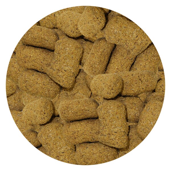 Monkey Biscuits Orange 14 oz - Healthy & Unique Treat - Sugar Glider, Rat, Chinchilla, Marmoset, Parrot, Guinea Pig, Rabbit, Hamster