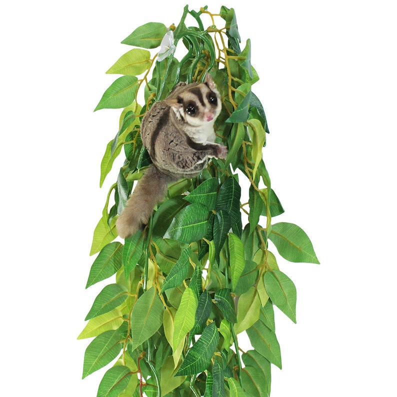 Cage Plant Fun & Unique Cage Accessory Sugar Glider image 1