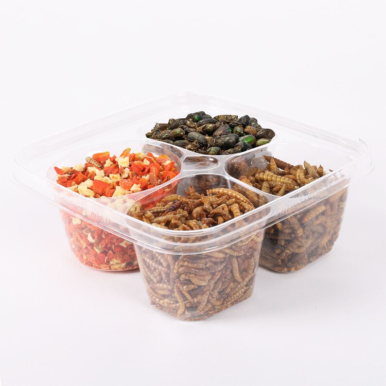 Hedgehog Treat Variety Pack Healthy & Unique Treat Etsy