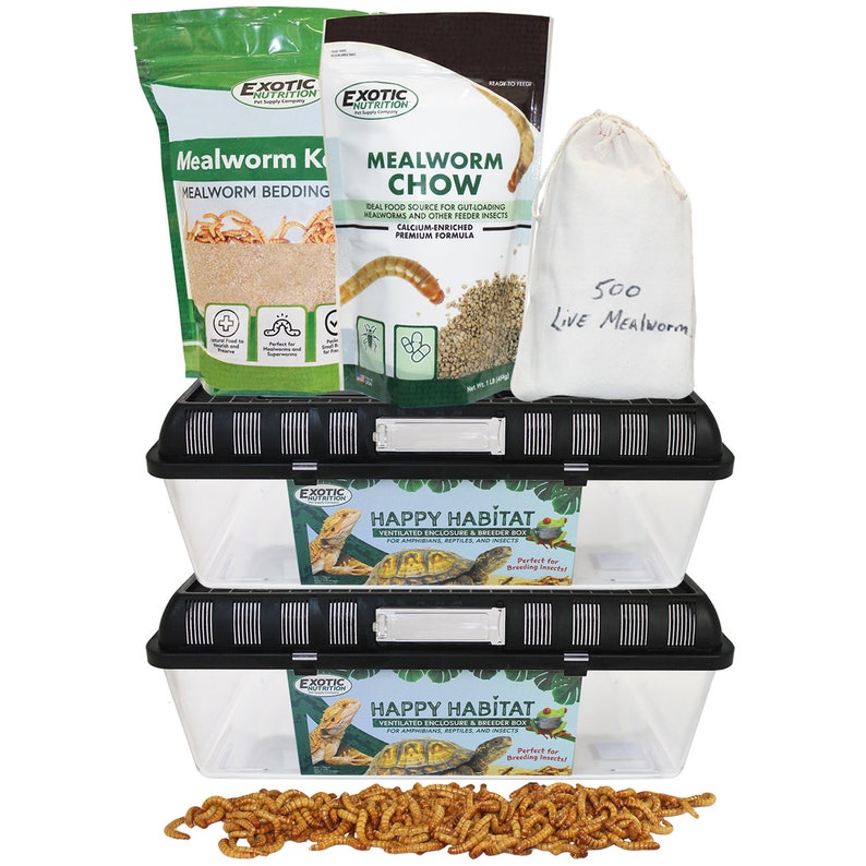 Mealworm Breeder Kit Raise Live Feeder Mealworms Etsy
