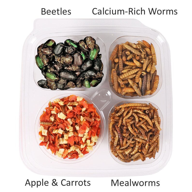 Hedgehog Treat Variety Pack Healthy & Unique Treat Etsy