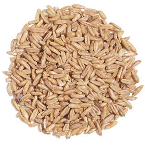 Whole Oats 4 lbs. - Healthy Natural Supplemental Food - Wholesome Treat for Prairie Dogs, Degus, Chinchillas