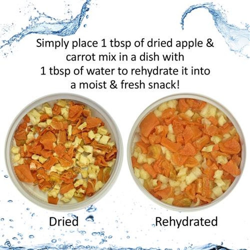 Hedgehog Treat Sampler Healthy Natural High Protein Treat Etsy