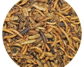 EZ-Worms - Dried Insect Pet Treat - Blend of Dried Mealworms & Black Soldier Fly Larvae - for Bird, Chicken, Reptile, Sugar Glider, Hedgehog