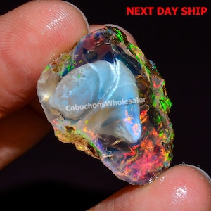 May include: A raw, translucent opal gemstone featuring a central white, shell-like fossil inclusion. The stone displays vibrant flashes of red, green, and blue play-of-color throughout its irregular, polished surface. Text reads NEXT DAY SHIP.