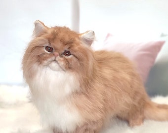 Realistic Persian Cat Artificial Stuffed Animal Art Plush Doll OOAK Ginger Kitten