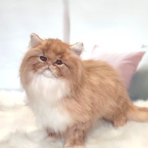 Realistic Persian Cat Artificial Stuffed Animal Art Plush Doll OOAK Ginger Kitten
