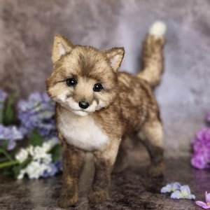 ホワイトフォックス、リアルな動物 - さまざまな毛色で入手可能、一点