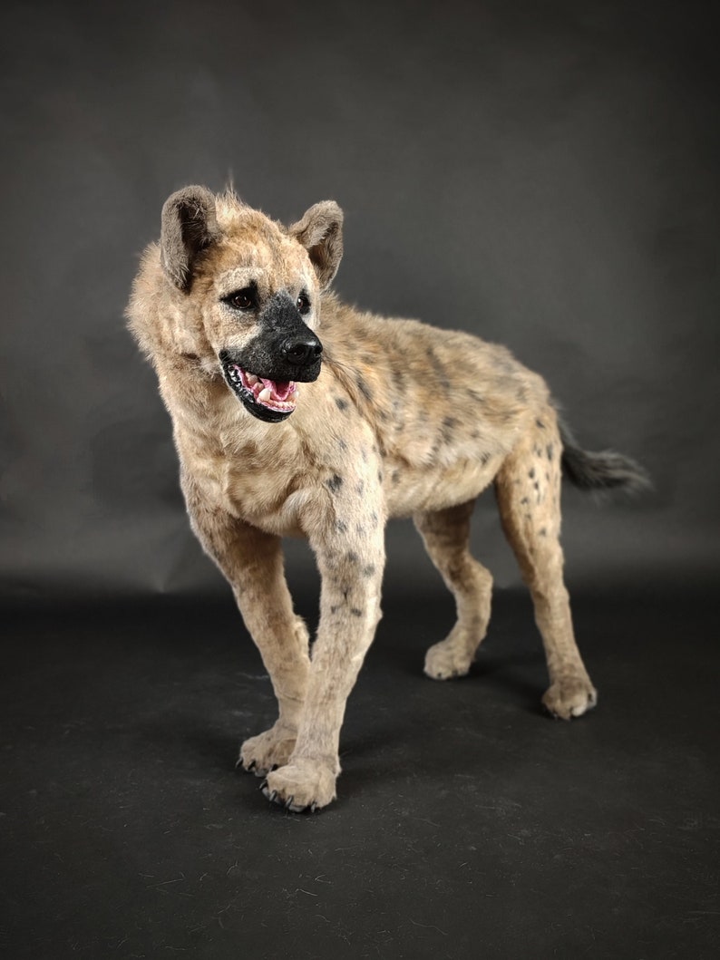 Spotted Hyena Realistic Art Doll Artificial Stuffed Animal | Etsy