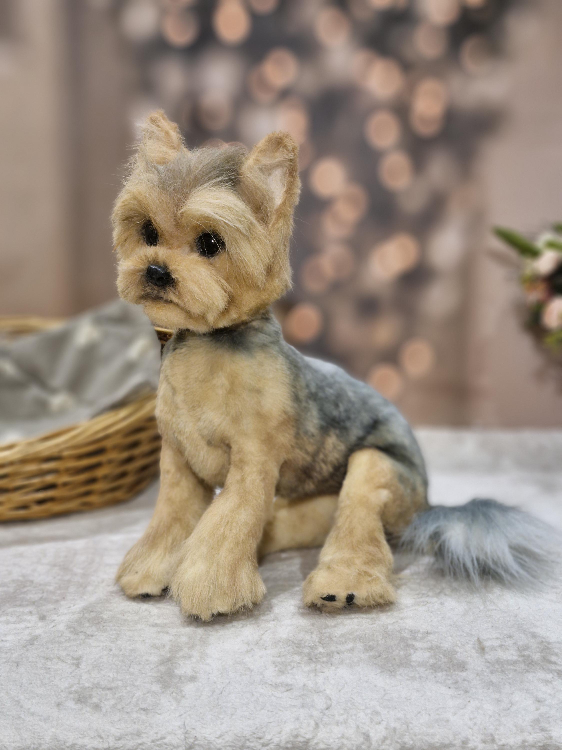 リアルなヨークシャーテリアの子犬 - ポーズをとらせることができる