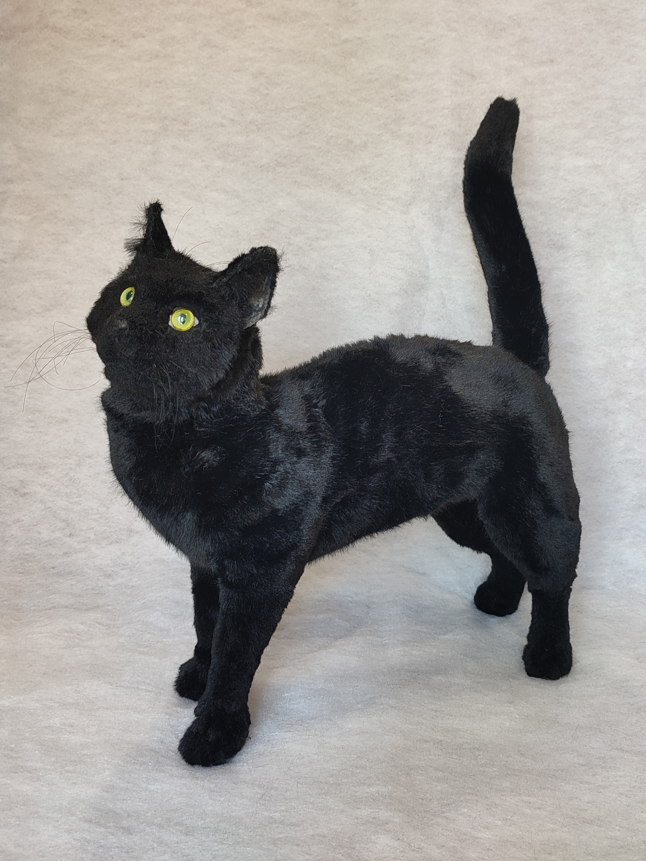 Black Cat Life Size Realistic Art Doll OOAK Etsy