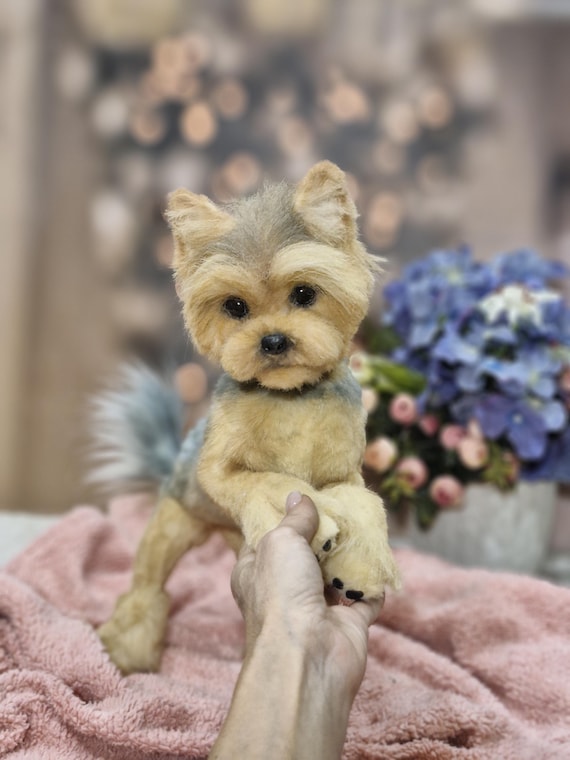 リアルなヨークシャーテリアの子犬 - ポーズをとらせることができる