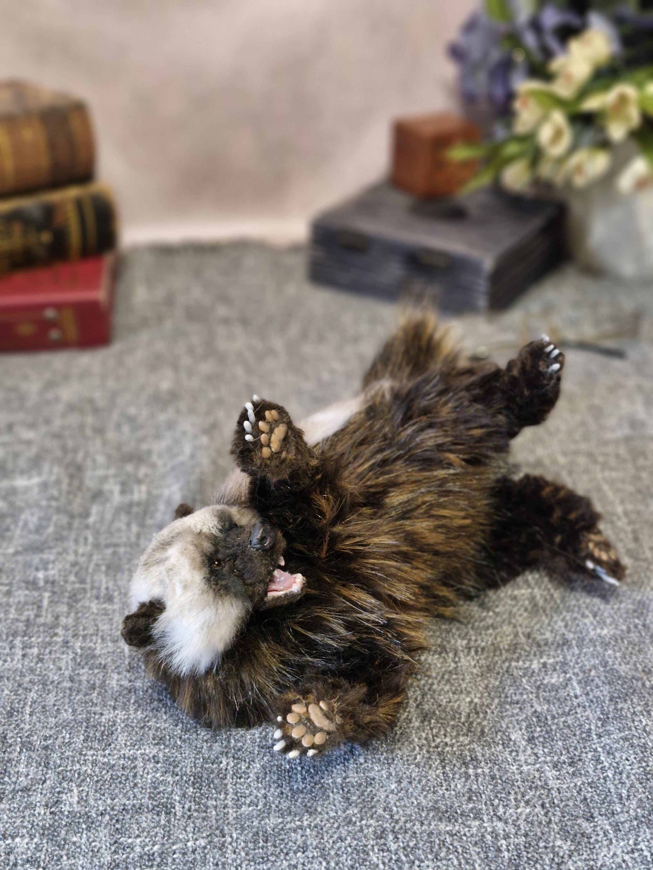 PawsAndTailsUA - Etsy