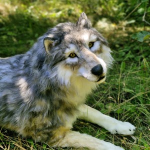 May include: A realistic wolf figurine featuring a thick coat of grey, white, and tan fur. The wolf has pointed ears, amber-colored eyes, and a black nose. It is depicted in a lying position with its front paws extended forward on the ground.