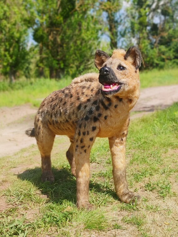 big hyena plush
