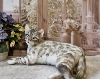 Muñeco de gato realista de tamaño natural, articulado, pieza única hecha a mano con piel sintética.