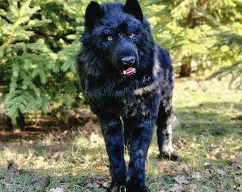 Black wolf realistic Author&#39;s interior doll OOAK
