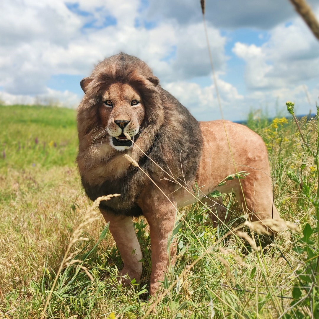 Handgemaakte Aziatische leeuwkunstpop: realistisch knuffeldecor
