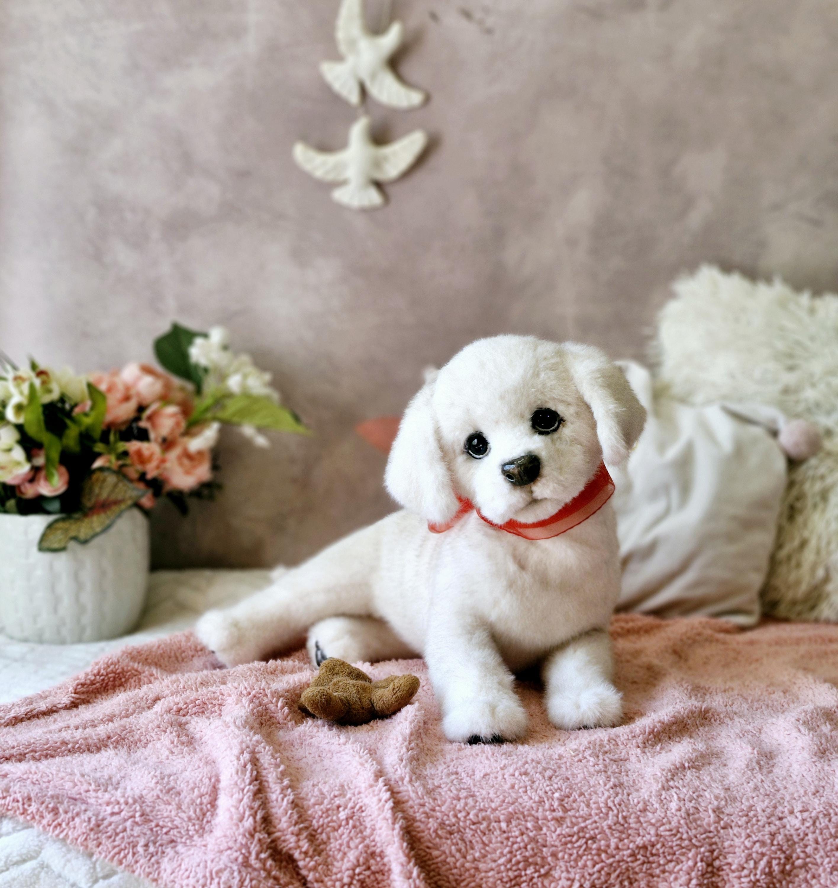 プードルbaby着せ替えぬいぐるみOOAK Realistic Puppy Author's Doll OOAK Dog Plush Soft Toy - Etsy