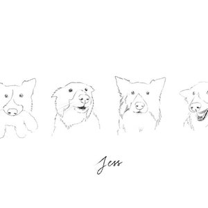 May include: A black and white line drawing of four dogs. The dogs are all looking at the viewer. The dog on the left is holding a toy in its mouth. The text "Jess" is written below the dogs.