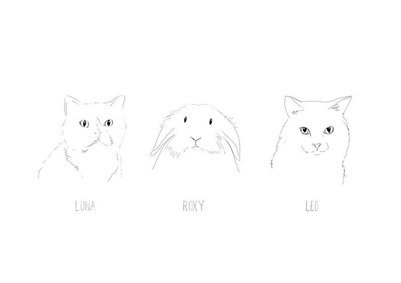 May include: Line drawing of three pets: Luna the cat, Roxy the rabbit, and Leo the cat.