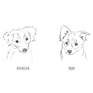 May include: Line drawing of two dogs, one named Ranger and the other named Roo. Both dogs are looking at the viewer.