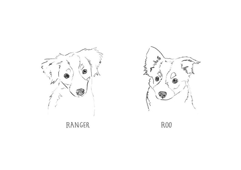 May include: Line drawing of two dogs, one named Ranger and the other named Roo. Both dogs are looking at the viewer.