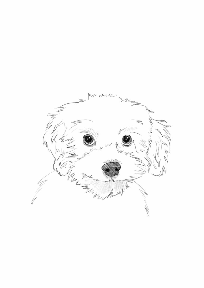 Custom Pet Portrait digital Sketch Digital Download Print Etsy UK