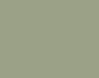 PURE Solids - Fresh Sage - Light Green Fabric - Art Gallery Fabrics - 100% Quilting Weight Cotton Fabric - PE-502