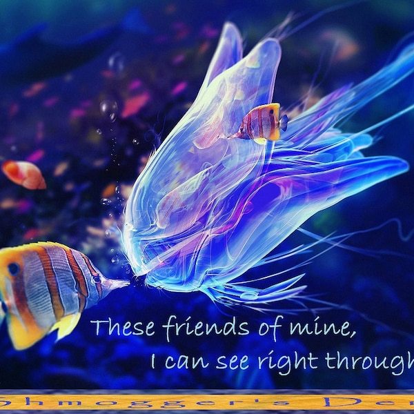 Phish Puzzle: Mike's Song, "These friends of mine, I can see right through." Beautiful image of undersea pals. Comes with half a dolphin.