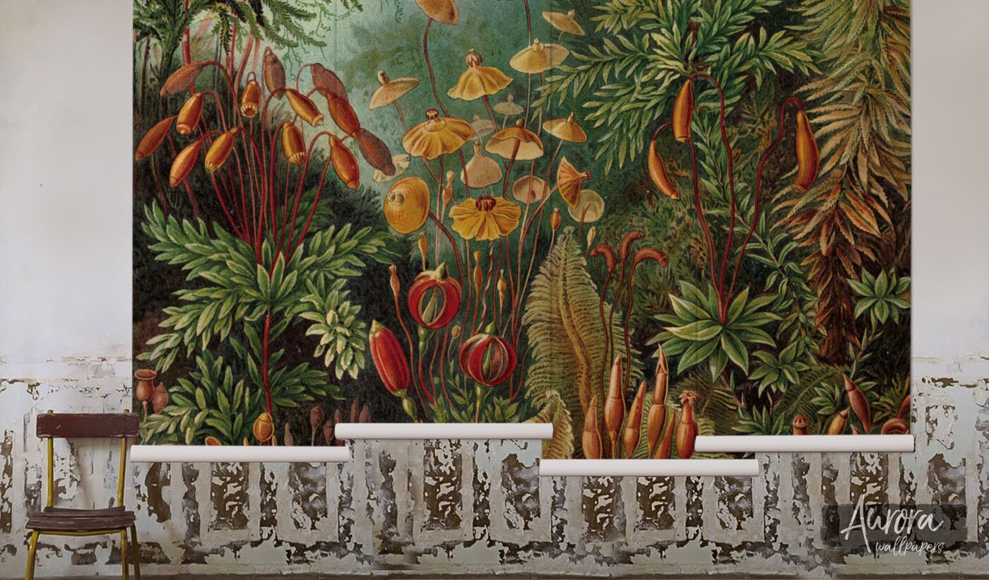 Amazonian Jungle Removable Wallpaper Repositionable Peel and Etsy Canada